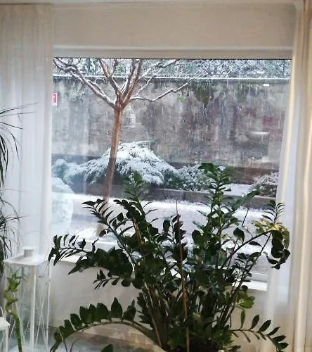 Internazionale 호텔 루이노